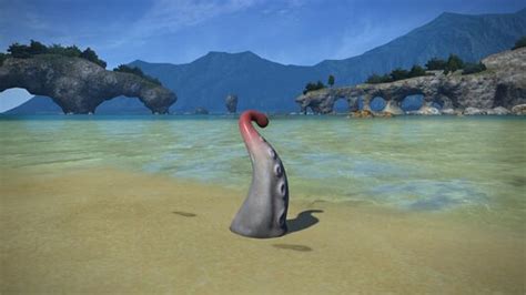 ff14 calamari